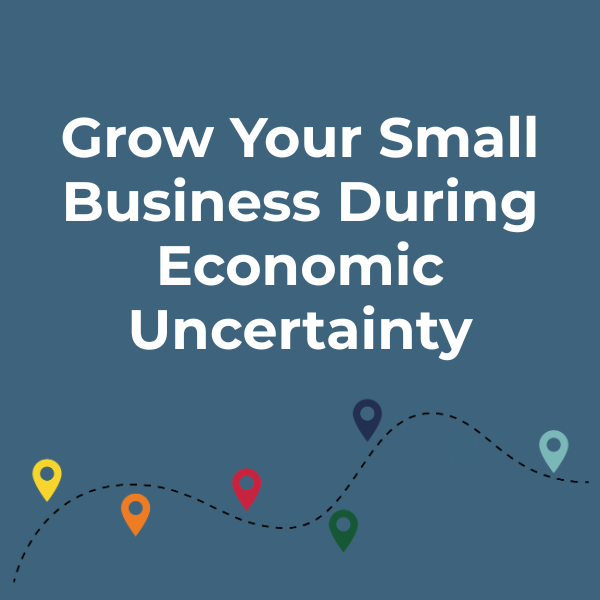 blue background with white text - grow your small business during economic uncertainty